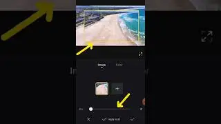 Background settings in video using Vn editor