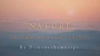 Intermezzo for Strings - Nature - Music by Domenechamerigo