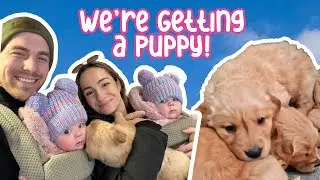 Picking Out Our Puppy&hellip; with 6-Month-Old Twins!