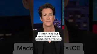 Maddow: Trump's ICE agents appear to have no clue what they're doing