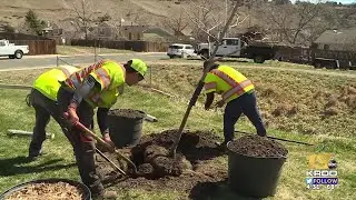 Creating an eco-friendly city: Colorado Springs plants five trees in honor of Arbor Day