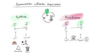 Tafelbild: Zusammenleben artfremder Organismen