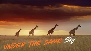 Under the Same Sky &ndash; Afro  Wild  | 4K
