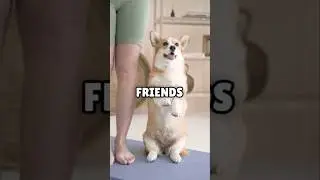 Some dog names that everyone uses!