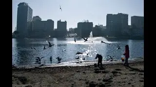 Lake Merritt: A Legacy of Stewardship