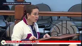 LIVESTREAM: Senate resumes session amid coup whispers