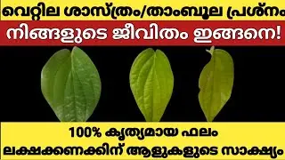 നിങ്ങളുടെ ജീവിതരഹസ്യം ഈ വെറ്റിലിൽ 🌿 | മൂന്ന് വെറ്റില, ഒന്ന് തിരഞ്ഞെടുക്കൂ