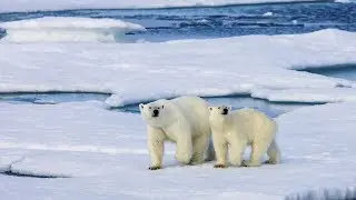 China&rsquo;s Arctic policy: Misconceptions on China&rsquo;s intentions?