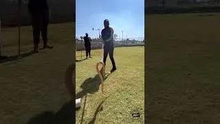 Cheeky Cape Cobra Capture