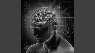 The Art of Reprogramming