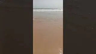 Индийский океан.