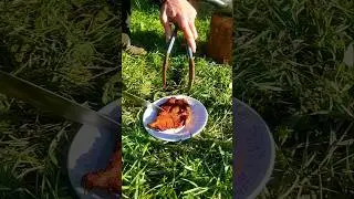 How to cook meat on a Finnish candle? Bushcraft Outdoors #bushcraft #cooking