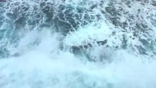 Sea Splash