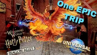 One EPIC Trip to Universal Studios Florida | Harry Potter | Ashes to Feathers