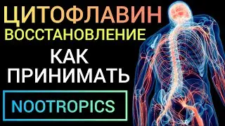 CYTOFLAVIN - ( nootropics for recovery ) Benefits How to use