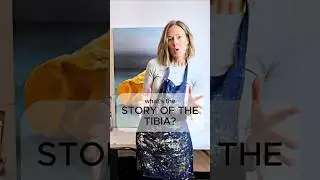 What's the story of the TIBIA?