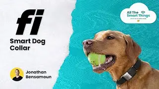 Fi Smart Dog Collar with Fi's CEO Jonathan Bensamoun