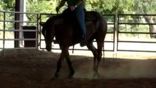 MOV03029