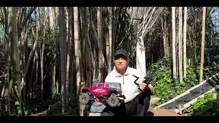 MODELLISMO-AUTO-RC-SCALER PERCORSO (DEEP JUNGLE)