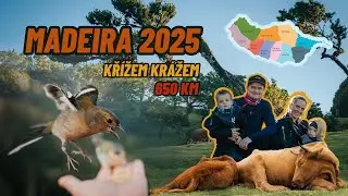 MADEIRA 2025 - 650 km křížem krážem – s dětmi 1 a 3  | Podzimní roadtrip!