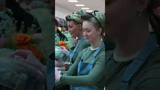 The 