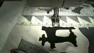 Wool Applique: 