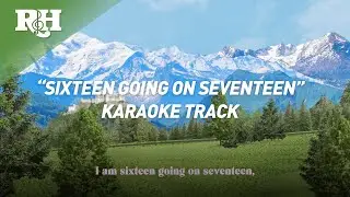 SING-ALONG TRACK: 