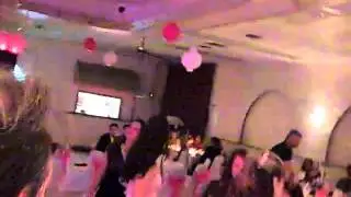WEDDING DJ TERRACE HALL CAPE CORAL MATCHED BRIDES PINK COLORS CUPID SHUFFLE