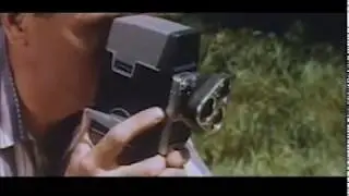 Push Push 