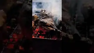 BBQ&hearts;️&hearts;️ #video #bbq #bbqchicken #viral #foryou #bangladesh #reels #youtubeshorts #happy #aquarium