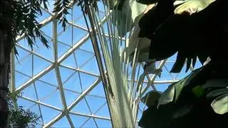 A Visit To The Milwaukee Domes