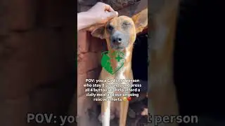 Think of giving not as a duty but as a privilege #deepkindness #deepcompassion #selfkindness