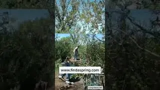 Www.findaspring.com