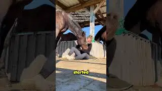 this horse didn't know why her owner was crying