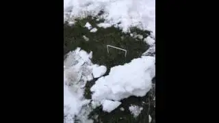 Winter Croquet 2012
