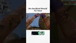 Smart Play Gekko 😮🔥