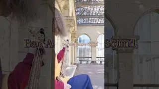Bad Ass Temple「シンジルチカラ」のベースを弾いてみた🌞