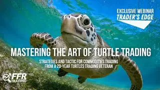 Mastering the Art of Turtle Trading