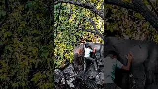 wait for end line Don't skip😟#shortvideo #hindishorts