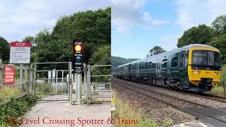 Claverton Miniature Warning Light Crossing, Somerset