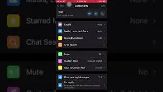WHATSAPP NEW FEATURE DISAPPEARING MESSAGES AFTER 7 DAYS ON or OFF iPhone & Samsung