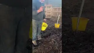 Filling out bioreactor with Johnson-su #organic #regen #farmlife #johnson