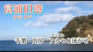 【釣り】アジ メジナ 石鯛 富浦旧港 新年初釣り 千葉内房 フカセ 泳がせ