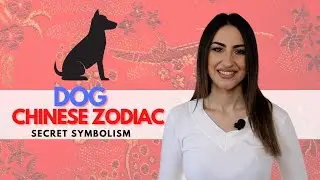СОБАКА &mdash; китайский знак зодиака. Тайный символизм раскрыт!