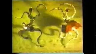Bubblicious Commercial - 1993