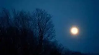 Opéra de Nuit - l'appel du froid