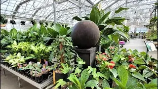 Briggs Nursery Attleboro MA. Plants & A New Garden Fountain. Spring Is In The Air!
