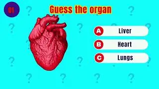 How Many Human Body do You know ? 🧠🦴🦵 | General Knowledge test