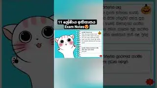 Заметки к экзамену по истории для 11 класса 📝 | Быстрый повтор | A+🔥 #Grade11History #ExamNotes