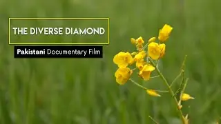 Cultures of Pakistan | The Diverse Diamond | Pakistani Documentary Film